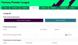 Skapa fantasy premier league ligor